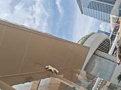 -BeauTea水仙(coco park店)