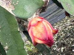 -尚果生态采摘园