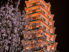 -河南博物院