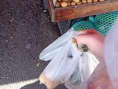 -红星农博物流中心