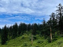 -瓦屋山景区
