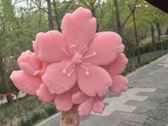 -元大都城垣遗址公园