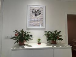 -SILKTONE诗丽堂美容