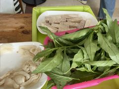 -15年老字号鑫鑫猪肚鸡·椰子鸡海南火锅(兴隆华侨农场店)