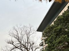 -上海佘山世茂艾美酒店