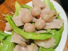 -金砂阿洲鱼册店