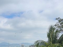 -希尔顿南海酒店·观廊大堂吧·海景下午茶