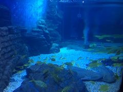 -烟台海昌鲸鲨海洋公园