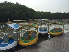 iphone_upload_pic-上海海湾国家森林公园