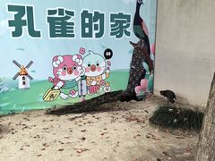-宁波九龙湖开元度假村