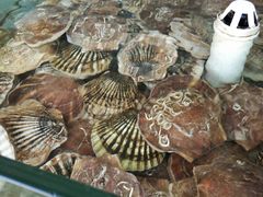 -四海鲜渔家菜(黄金海岸店)