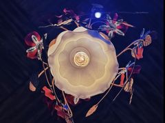 -雪灵魔法世界SHELLY’S TAROT(大良桂畔里店)