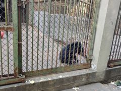 -合肥野生动物园