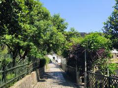 -树山生态村