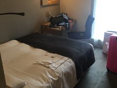 -秋叶原华盛顿酒店