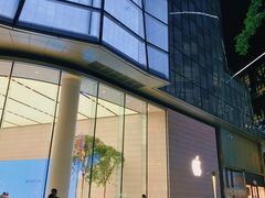 -Apple零售店(济南恒隆广场店)