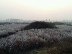 -明秦王墓遗址