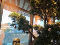 -绿茶餐厅(成都大悦城店)