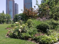 -巍阁高端月子会所