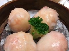 -老广新意(奥园店)