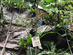 -太鲁阁公园