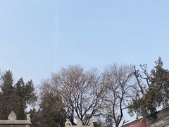-西安碑林博物馆