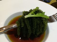 -菩提树·素食餐厅(汇智国际商业中心店)