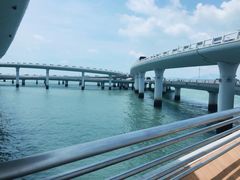 -演武大桥观景平台