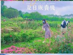 -秀丽东方