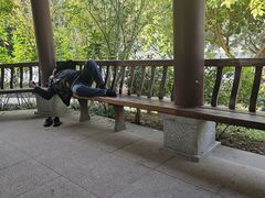 -南宁南湖公园