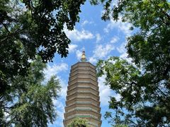 -八大处公园