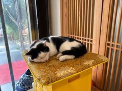 -龙华素斋(龙华路店)