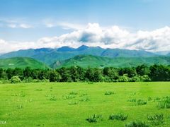 -新疆那拉提国家旅游度假区