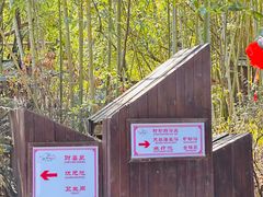 -咸宁万豪温泉谷度假区