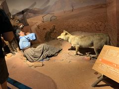 -陕西自然博物馆