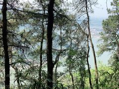 -铁山坪森林公园