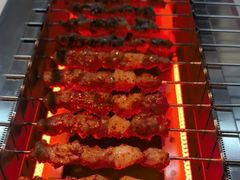 苏尼特羊肉串-丰茂烤串(五道口店)