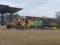 -上海长兴岛郊野公园