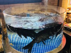 -四季厨房 鲁菜·孔府烤鸭(高新万达店)