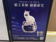 -霸王茶姬(常熟印象城店)
