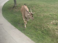 -西安秦岭野生动物园