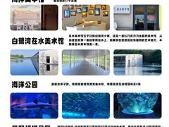 -日照灯塔风景区