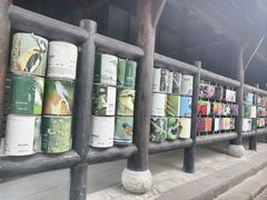 -白鹭湾湿地公园
