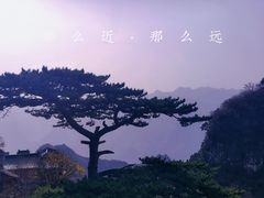 -圣莲山风景区