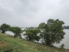 -风云岭森林公园