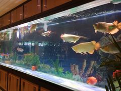 -弘安丽水温泉酒店