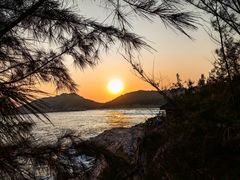 -广东惠东海龟国家级自然保护区