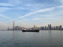 -武汉关码头(轮渡站)