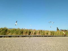 -抚仙湖禄充风景区