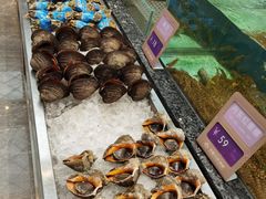 -鸿星花园酒家(银亿家园店)